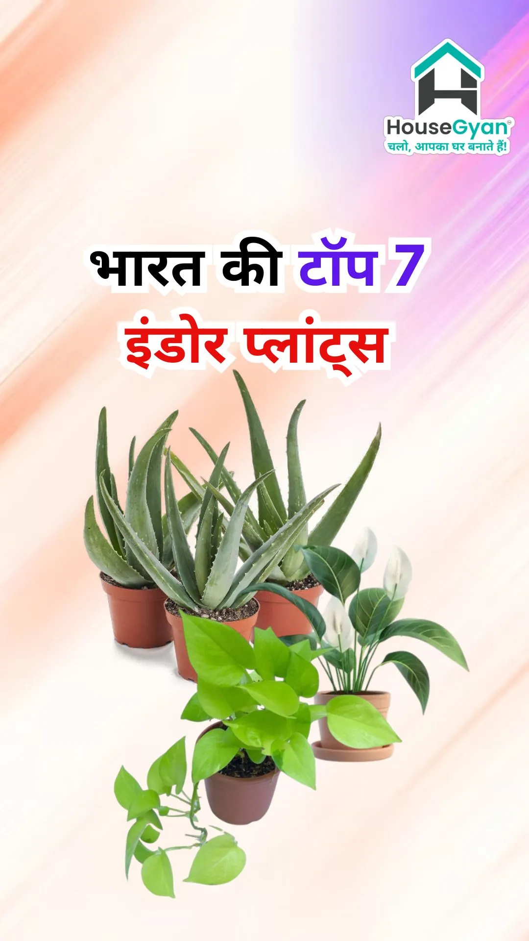 best indoor plants India